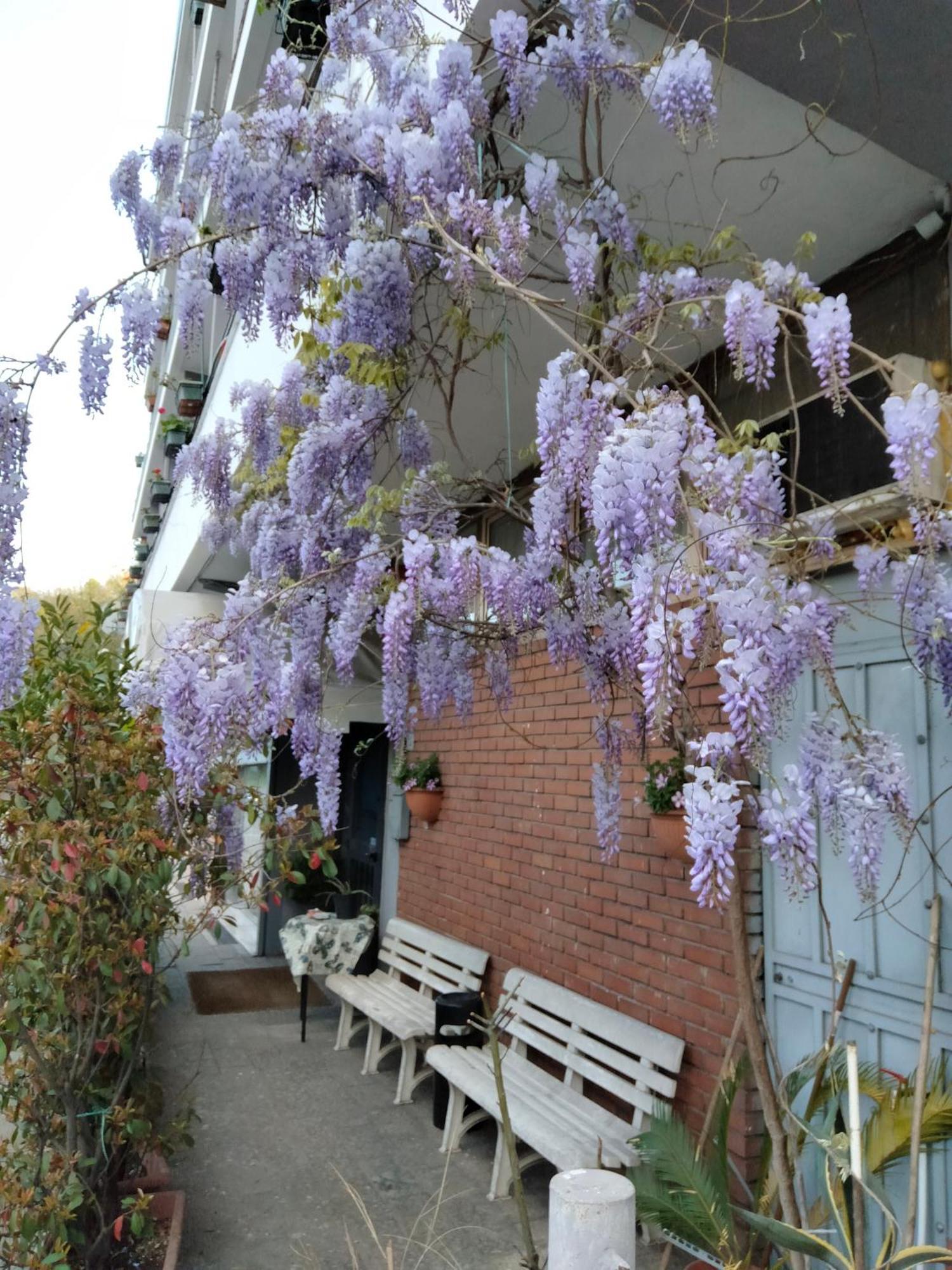 Hotel Lombardia Seveso Exteriér fotografie